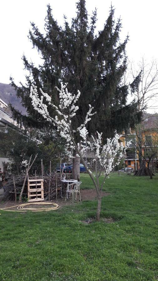 B&B Sun Garden Montoro Inferiore ภายนอก รูปภาพ